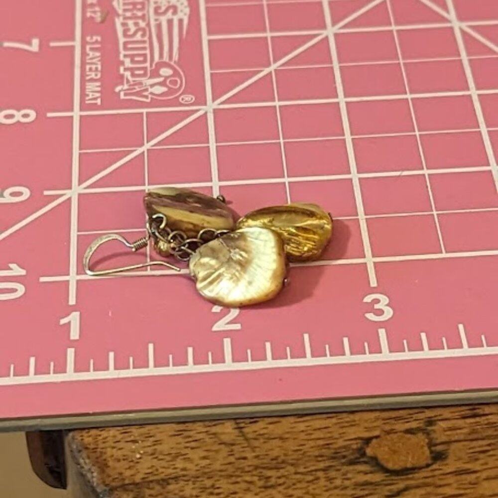 Brown Shell Waterfall Dangle Earrings - image 6